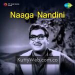 Naaga Nandhini Movie Poster