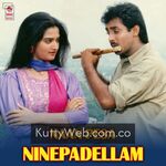 Naan Pesa Ninaipathellam movie poster