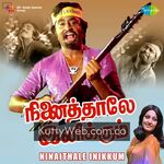 Ninaithale Inikkum movie poster